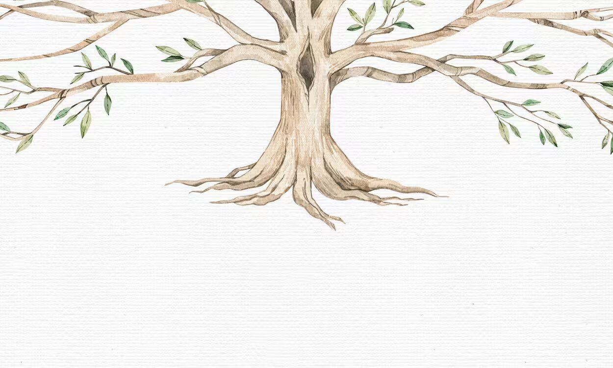 A blank watercolor family tree, ready for your family's names